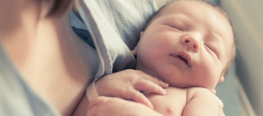 Bébé